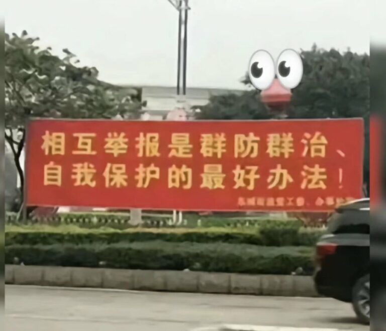 “相互举报是自我保护的最好办法”：极权政治语境下的社会互害机制研究