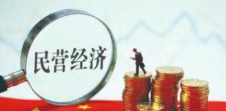 中国不同类型民营企业未来十年分化轨迹