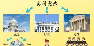 现代国家治理中的“双层权力结构”与政治循环机制研究(第三部分)