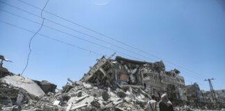 PCHI政治循环健康度评分表(实操版)